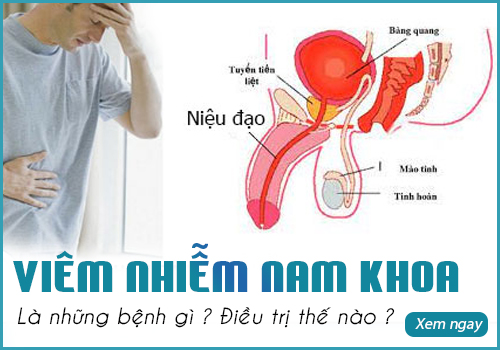 viêm nhiễm nam khoa