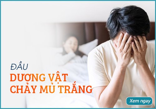 đầu dương vật chảy mủ