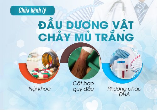 phương pháp chữa đầu dương vật chảy mủ trắng